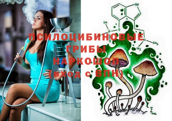 МДПВ Михайлов