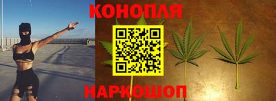 каннабис Камышлов