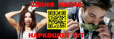 каннабис Камышлов