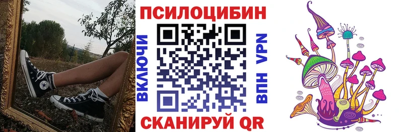KRAKEN ТОР  Армавир  Галлюциногенные грибы GOLDEN TEACHER 