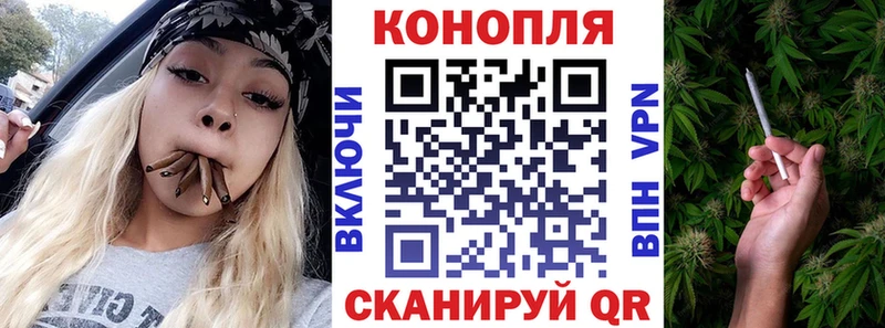 сколько стоит  Армавир  Бошки марихуана сатива 
